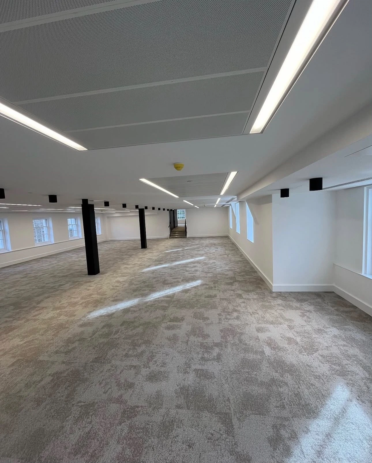 Large office space freshly painted white with clean ceiling lines